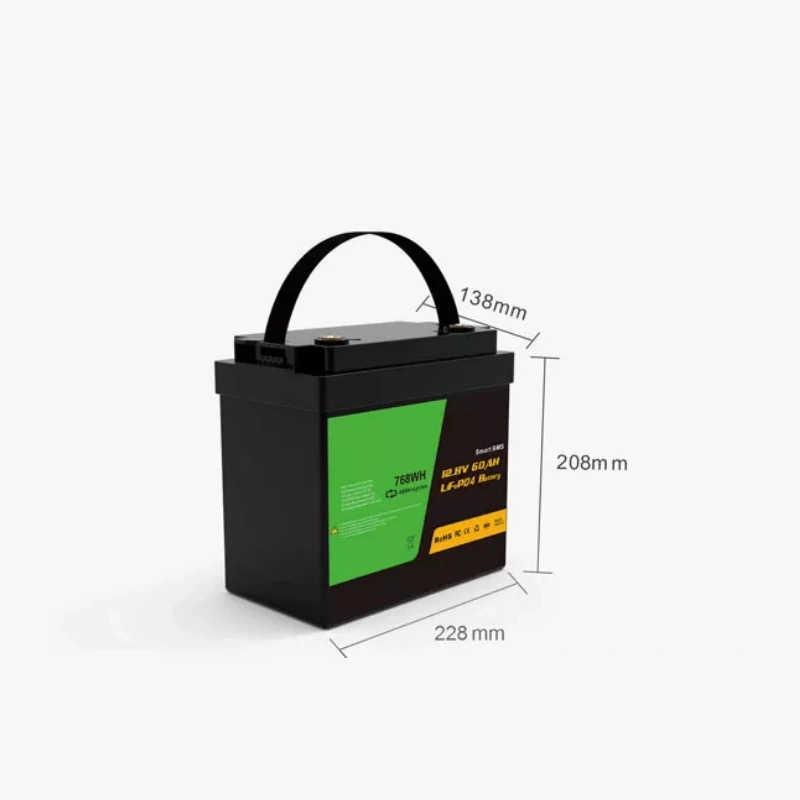 BMS LiFePO4 battery