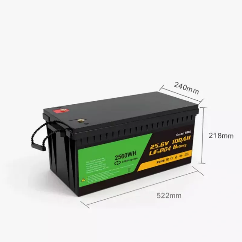 Lifepo4 lithium ion battery